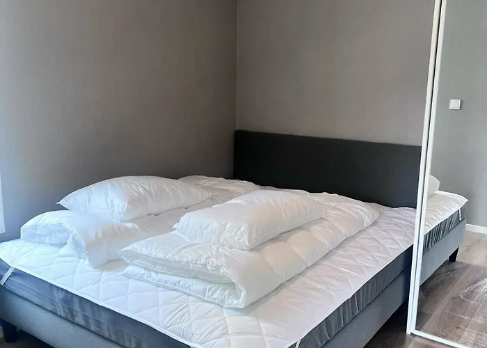 Newly Built, Bright Skien